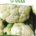 Sementes Biológicas de Couve-flor - Bola de Neve - Coliflor