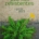 Livro Plantas Resistentes: Agenda 2023 de Fernanda Botelho
